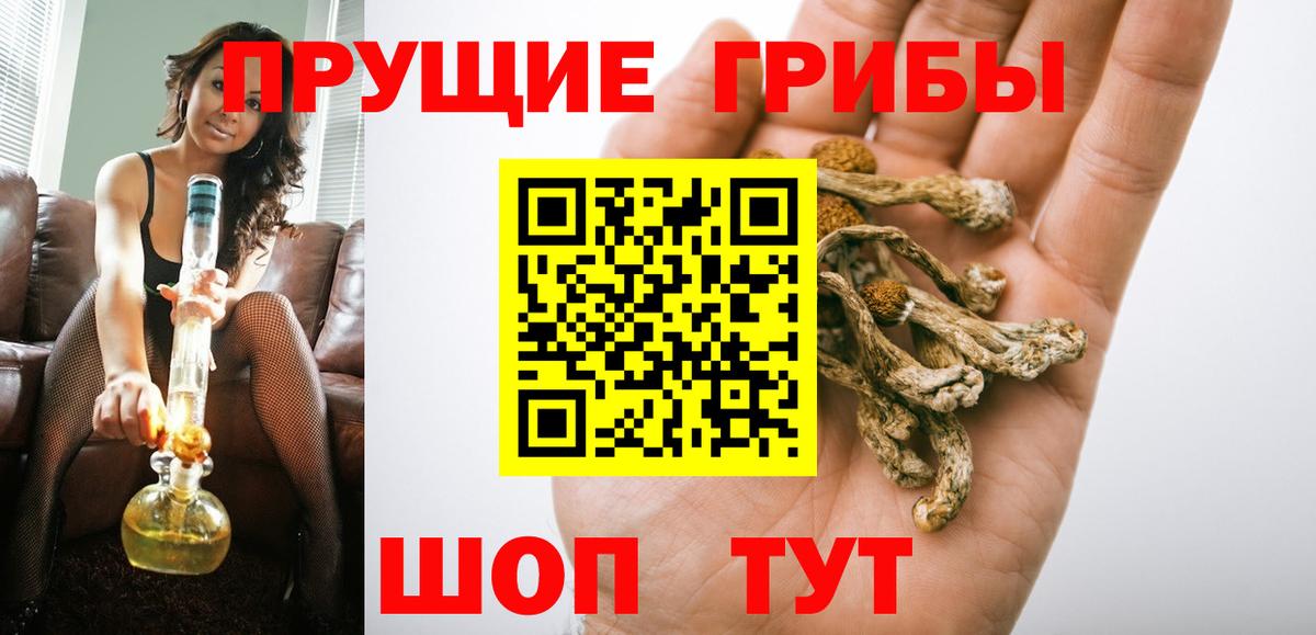 Псилоцибиновые грибы GOLDEN TEACHER  Вход с VPN  Магнитогорск  Псилоцибиновые грибы мицелий 